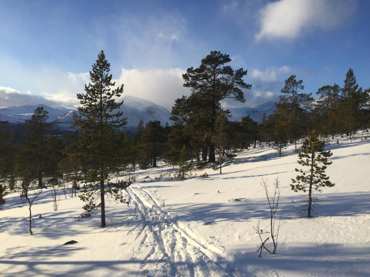Rondane Sollia Friluftsliv Ovre Nordli Exterior foto